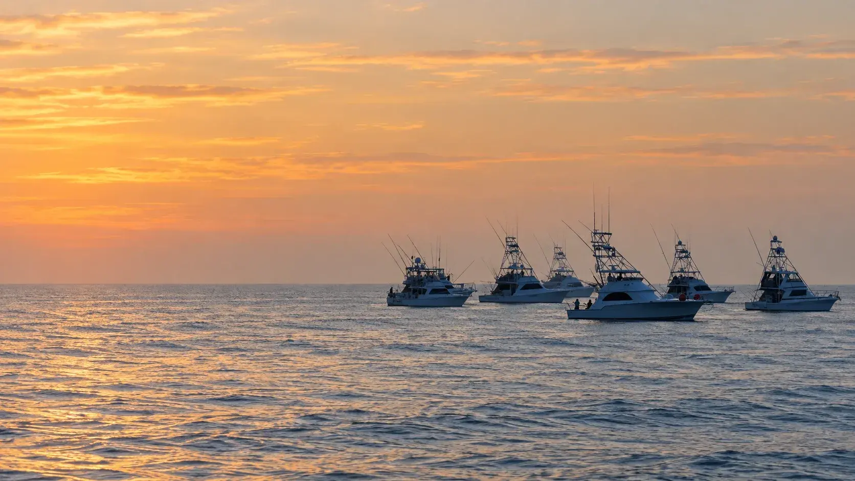 Sportfish fleet heading offshore at dawn