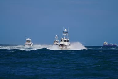 Texas Legends Billfish Tournament logo