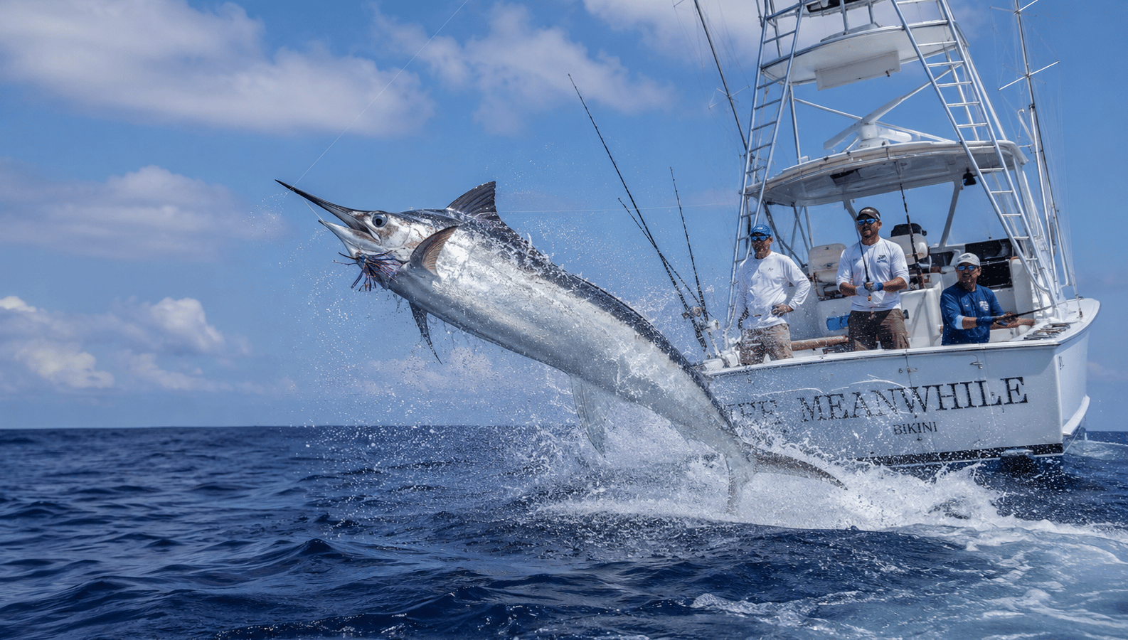 White Marlin Tournament Fishing