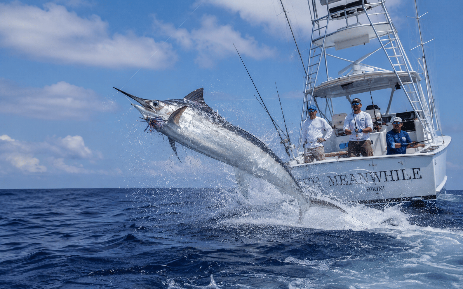 White Marlin Tournament Fishing